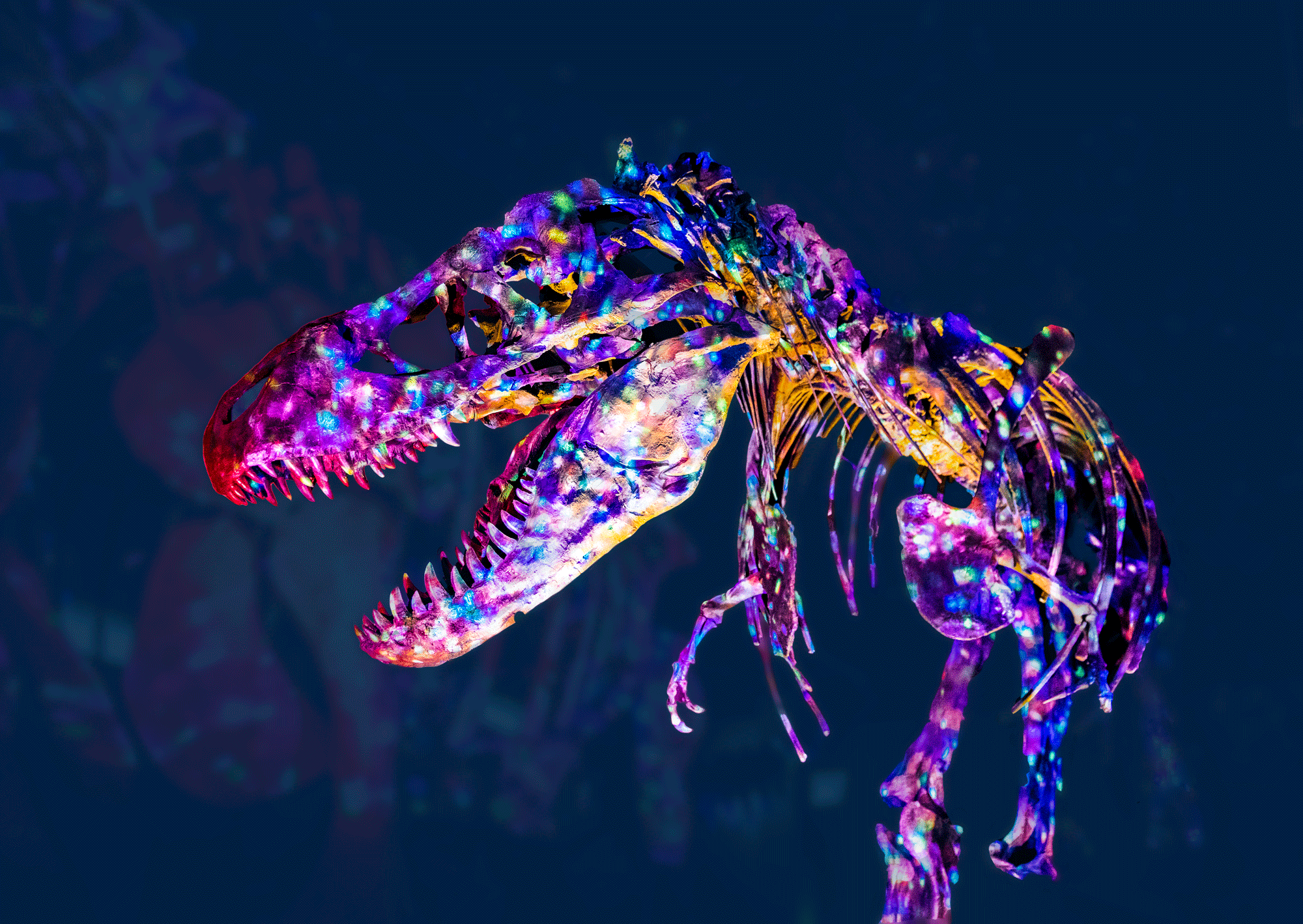 Perot Museum of Nature and Science