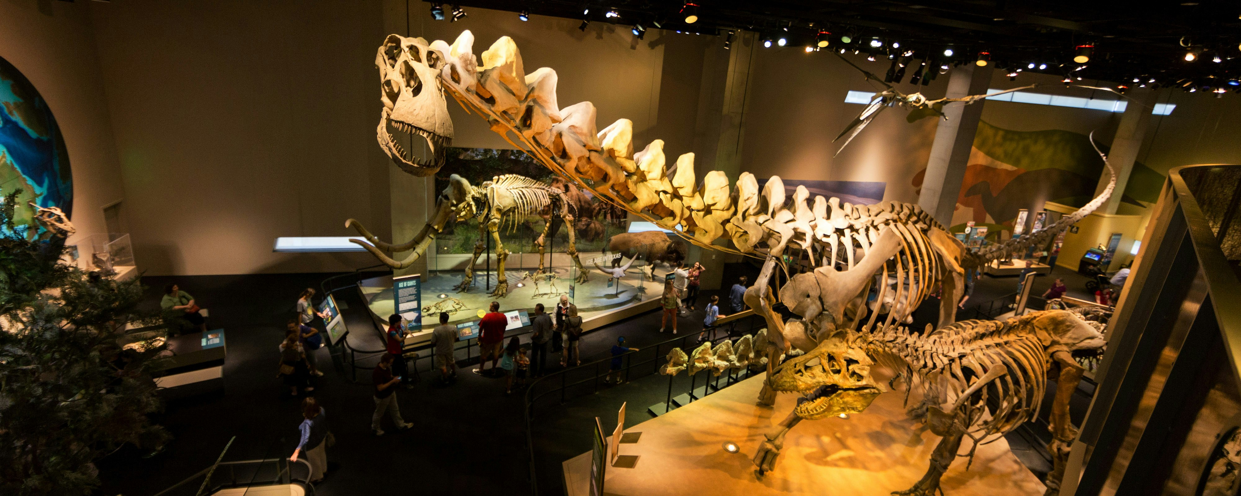 dinosaur perot museum