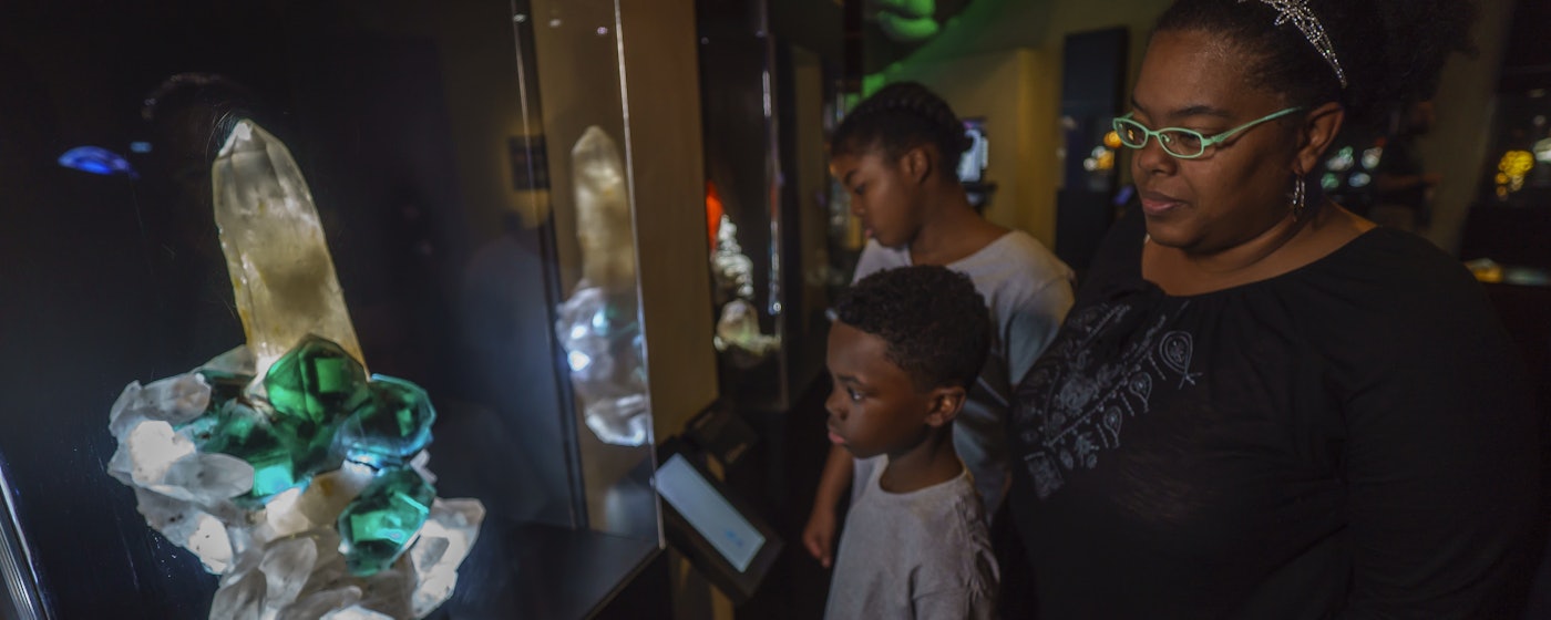 Patrons looking over The Eyes of Africa display.