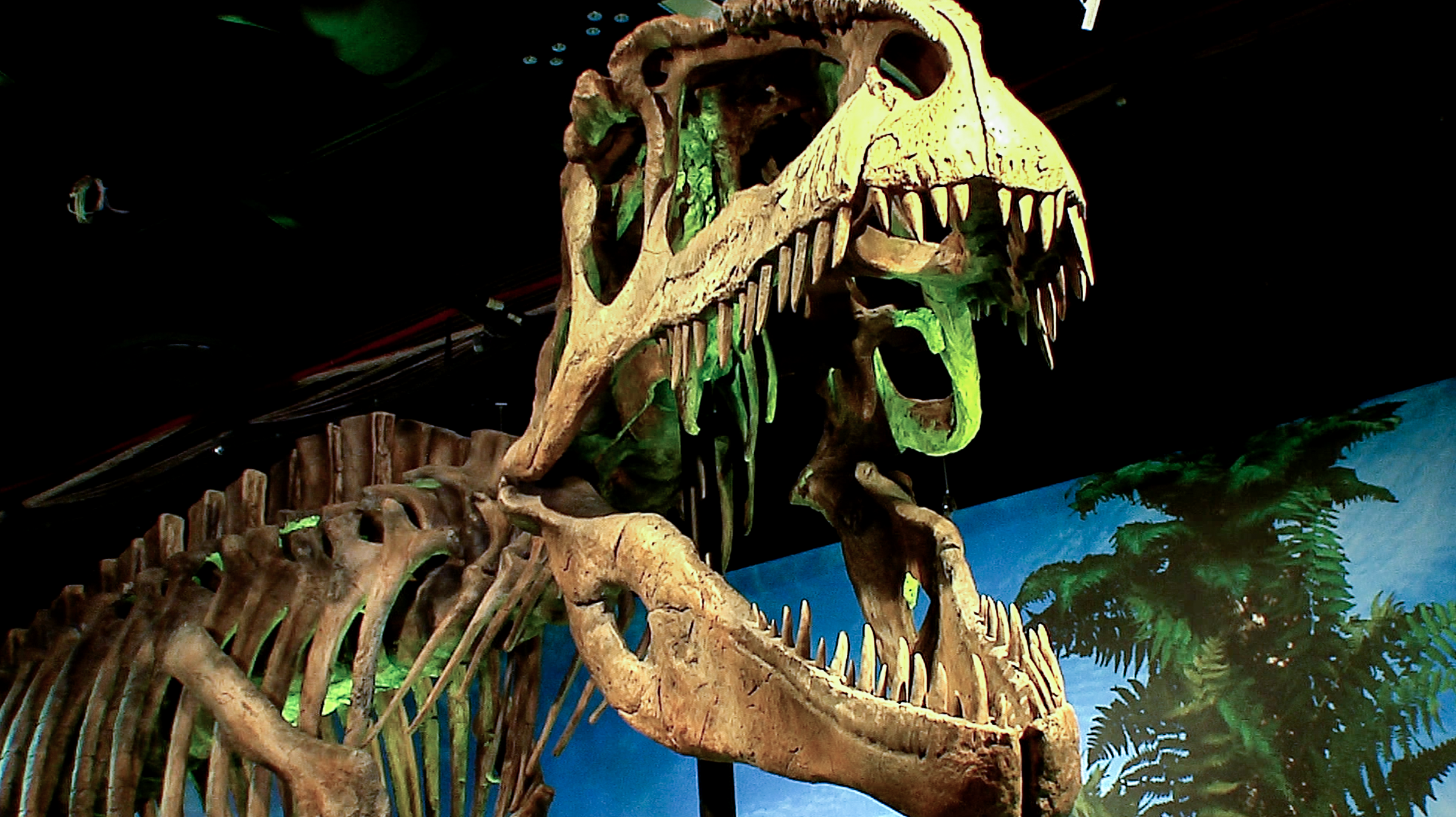 dinosaurs at perot museum