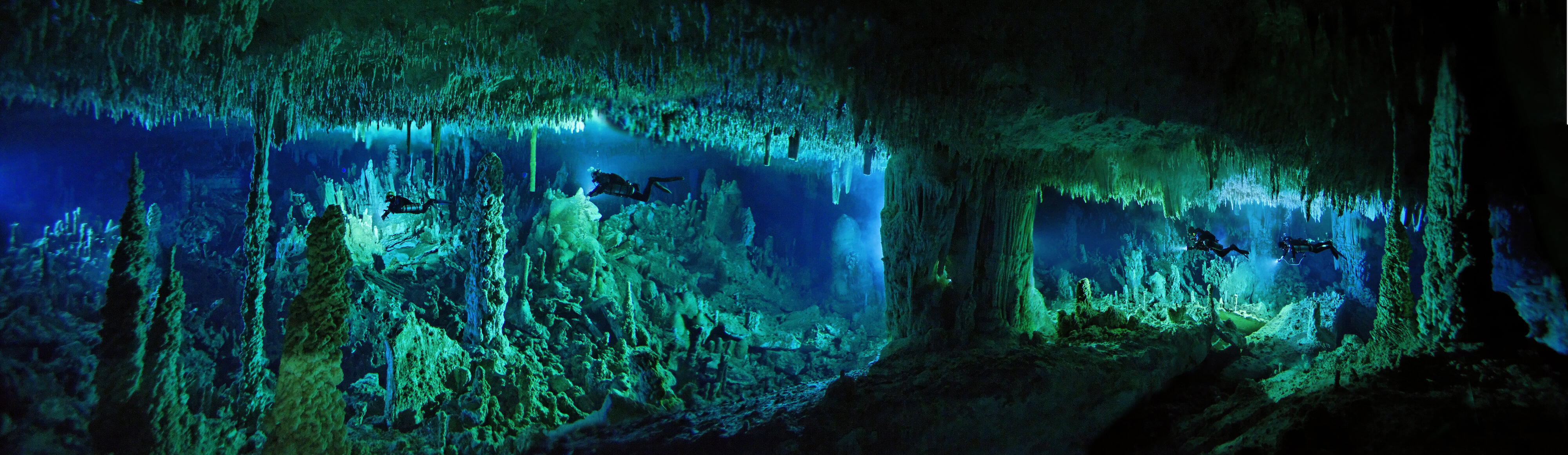 Perot Museum of Nature and Science